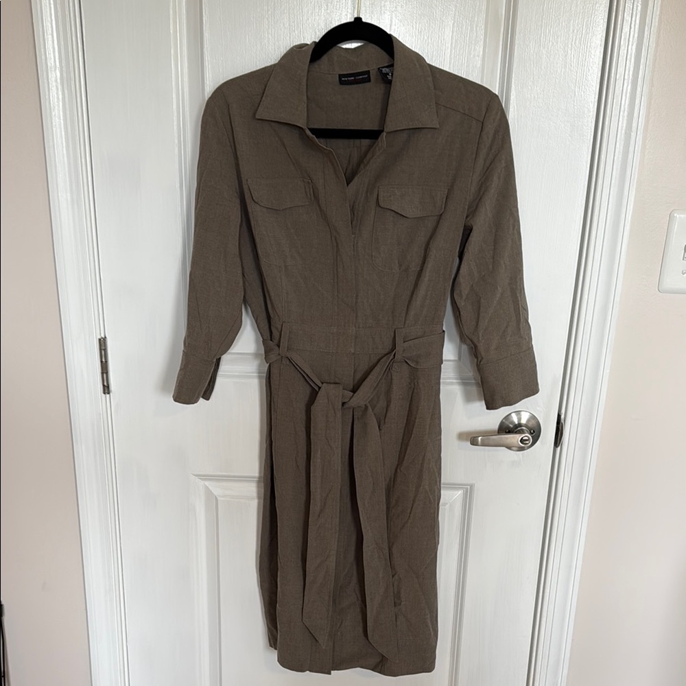 Elegant Brown Shirt Dress